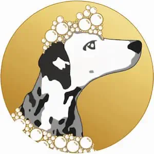 Le Salon Ella - Toilettage Arras