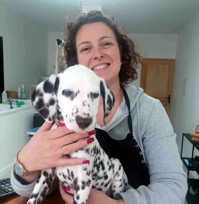 Intérieur du salon de toilettage Ella à Beaurains